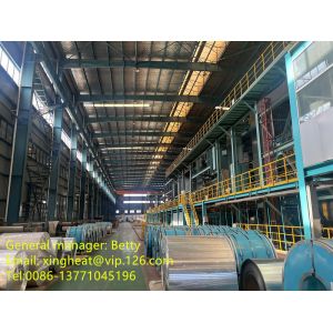 Electrolytic Tinplate 2.0/2.0JIS G330 For Food Cans 1.1/1.1 Tinplate Mill