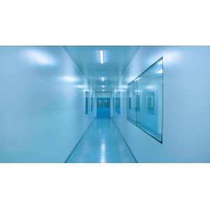 Tablet Disintegrants Sodium Starch Glycolate Carboxymethyl Starch Sodium Cms CAS