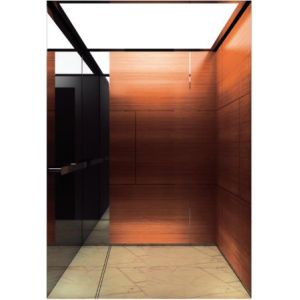 Hotel Building Automatic Passenger Elevator With Monarch Control System