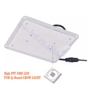 450nm 1W SMD LED Chips