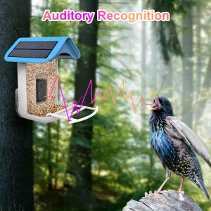 Wholesale House Standing Solar Powered Smart Bird Feeder with Trail Camera from china suppliers