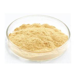 Food Grade Panaxoside Ginseng Extract Powder For Health Products