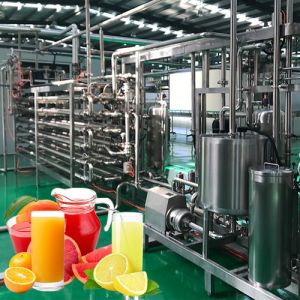 Professional Tangerine Citrus Processing Equipment 5T/H ISO Certificate