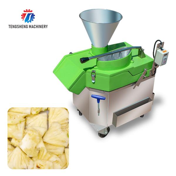 Quality 1000KG/H 80KG Multi-function vegetable cutting machine apple dragon fruit slice machine vertical lemon slicer for sale