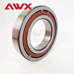 Performance Double Row Angular Contact Bearing SUJ2 Ceramic Balls