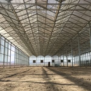 Large Multi-Span Greenhouse with Modern Aluminium Structure and Hydroponics