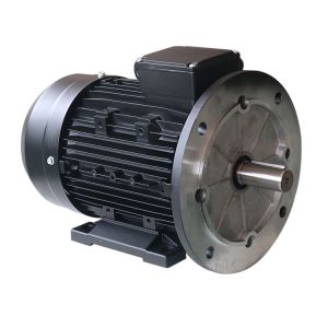 MS100L1-4 4 Pole 2.2KW 3HP Asynchronous Induction Motors