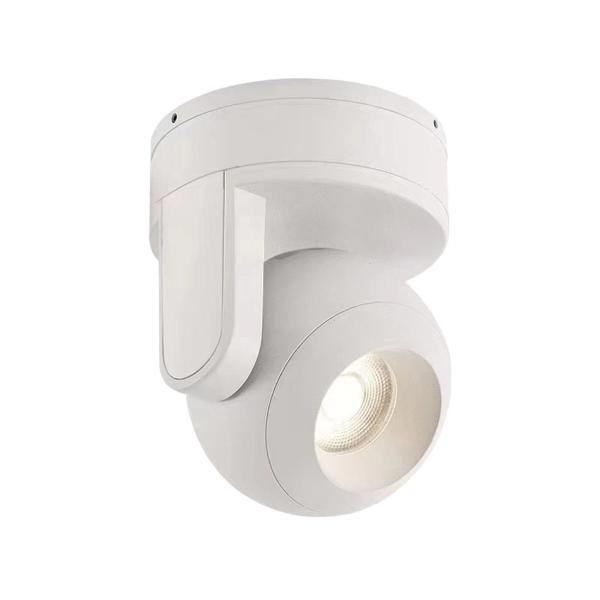 AC110-265V Ceiling Surface Mounted Downlight , Rotatable Led Downlight
