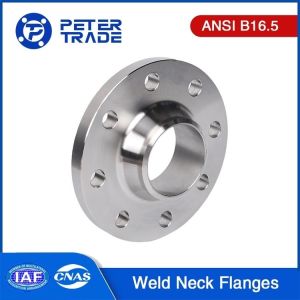 ANSI B16.5 Class 300 Carbon Steel Weld Neck Flanges A105 WNRF Raised Face and