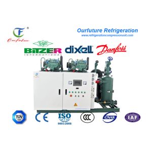 Ice Making Machine Cold Storage Unit Cooler Unit Multi Stage Energy Controlling