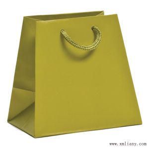 2015 new style paper shopping bag