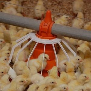Portable Galvanized 450kg Chain Feeder System Poultry