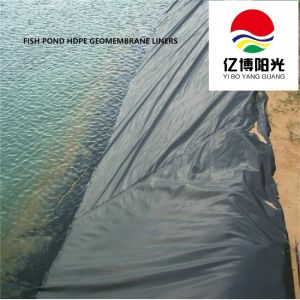 2024 HDPE Geomembrane Pond Liners for Waterproofing Resistant to Chemicals and