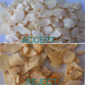 High Reliability Color Sorter Machine For Processing Garlic Flakes