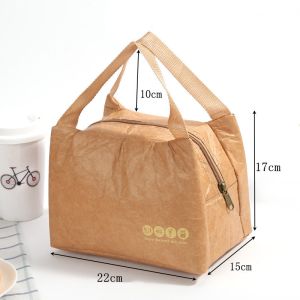 Biodegradable Sustainable Recyclable Custom Tyvek Insulation Tote Lunch Bag 15L