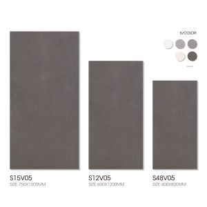 AAA Grade Indoor Porcelain Tiles 400x800mm Clay Antibacterial