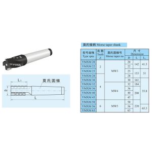 Dia 20 mm - 50 mm Indexable Cutting Tools , Chamfer Milling Machine Tools
