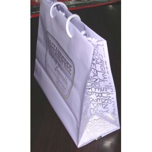 Gravure Printed Soft Plastic Shopping Bags Multi Size With Rope Handle