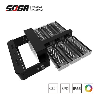 Quality Gary or Black Housing Color Rugged IP66 LED Stadium Lights with Flexible Fixtures and Detachable Driver Box for sale