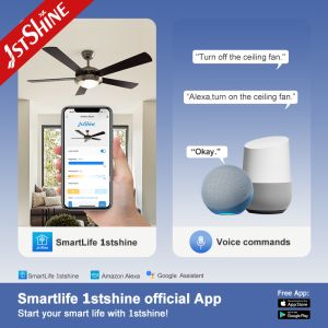 Classic 52" Ceiling Fan with LED Light & Pull Chain Control