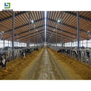 Low Cost Prefab Light Galvanized Fast Assembling Steel Structure Construction