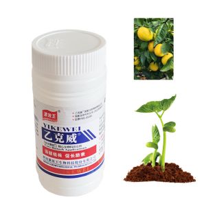 Humic Acid Chemical Seaweed Extract Fertilizer Enriches Crop Yield