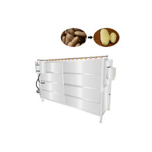 2000kg/h SUS304 Vegetable Screw Peeling Washing Machine