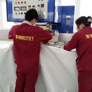 Dual Layer Membrane Structure Gas Balloon Freestanding For Biogas Plant