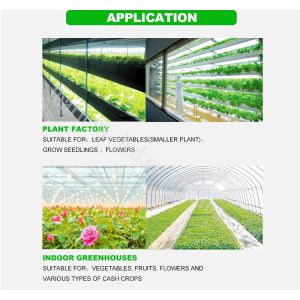 395-405nm 1W SMD LED Chips High Lumen Led Chip 120 Degree View Angel