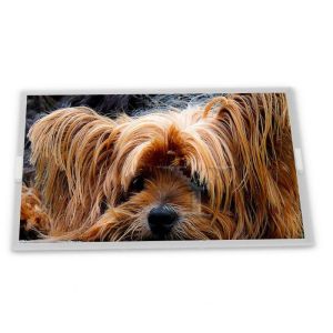 stock 15.0-Inch WLED LCD Display Module with Customizable 1024*768 Resolution
