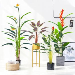 Wholesale New released artificial bird of paradise with flower for sale from china suppliers