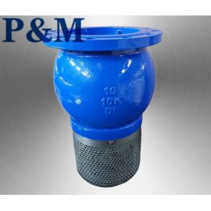 Ductile iron ANSI flanged foot valve