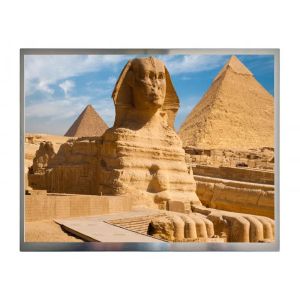 12.1 Inch TFT IPS Display RGB Vertical Stripe Lcd Screen Module