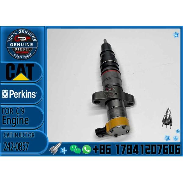 Common Rail Injector 242-0857 266-4446 387-9432 387-9436 225-0117 328-2580 267-9710 20R-8063 10R-7221