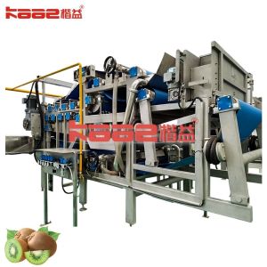 Wholesale Blueberry Strawberry Concentrated Juice Processing Line Apple Juice Concentrate from china suppliers