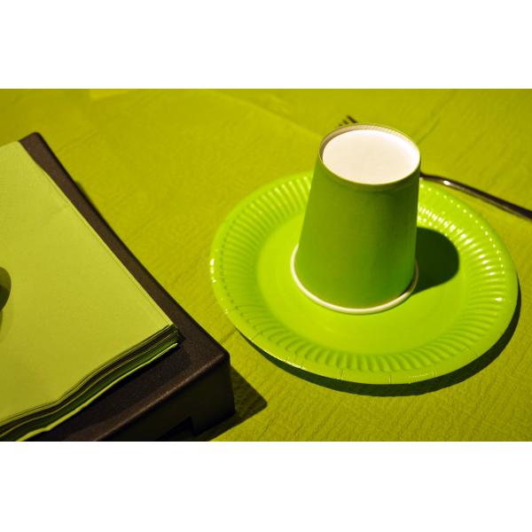 SGS FDA Disposable Dinnerware Set , OEM Paper Plate And Cup Sets