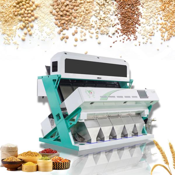 Quality Data Processing Software Seeds Color Sorter With Intelligent CCD Color Camera for sale
