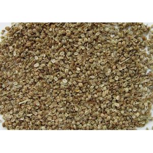 Sex Product Snowparsley Extract ---Cnidium Monnieri (L.) Cuss