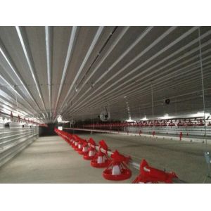 China Automatic Steel Structure Peb Customized Poultry Chicken Farming Shed on sale
