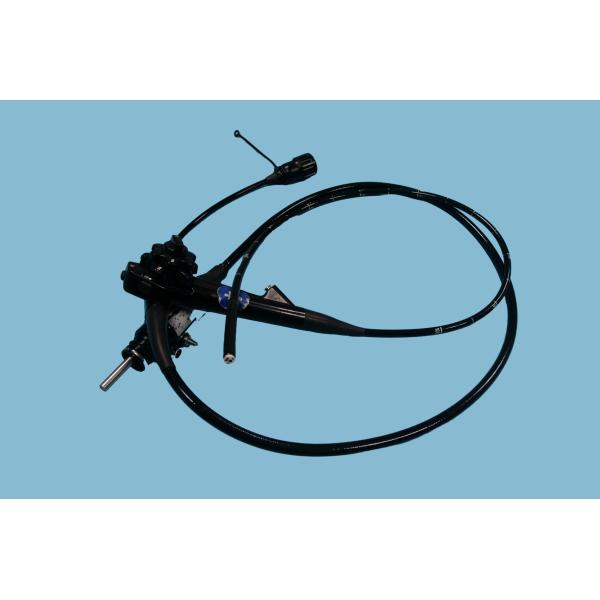 EG-590ZW Gastroscope Advanced Medical Endoscope For Veterinary Diagnostics