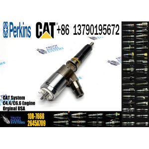 Engine Fuel Injector 2645A747 10R-7671 10R-7672 2645A718 10R-7673 10R-7676