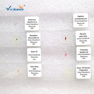 Biological Specimens 100pcs Microscope Glass Slides