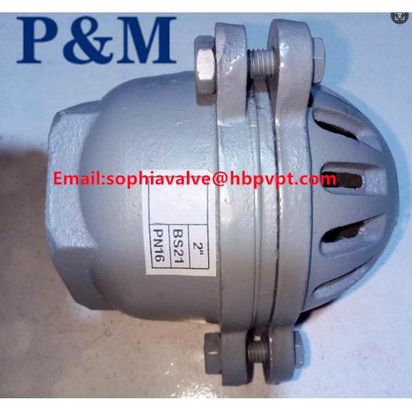 cast iron GG20 3INCH foot valve