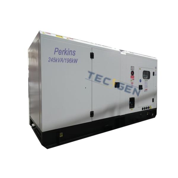 196kW 60Hz Self Start Diesel Generator With 300A Built In ATS