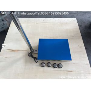 SKYERSCALE 30x40cm Platform Scale 60kg 304 Stainless Steel Platform Industrial