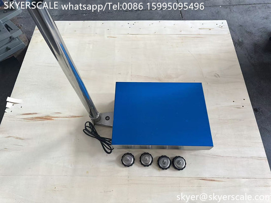SKYERSCALE 30x40cm Platform Scale 60kg 304 Stainless Steel Platform Industrial