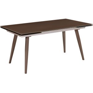 Rectangular Glass Dining Table With Chinese Ceramic Triangular Legs