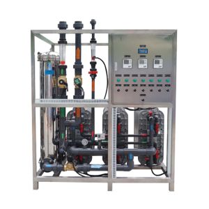 Wholesale Customized Industrial &amp; Commercial Ultrapure Water Treatment Machine RO-EDI Water Treatment System from china suppliers