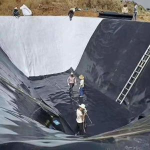 0.1mm 3mm HDPE Geomembrane Pond Liner for Fish Shrimp Farm 100% Virgin HDPE