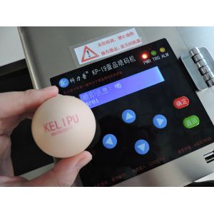 Easy Control Egg Printing Machine With 120000 Characters Per Hour High Speed